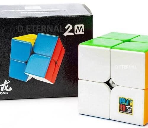 CUBESKOOL MOYU 2X2 MAGNETIC
