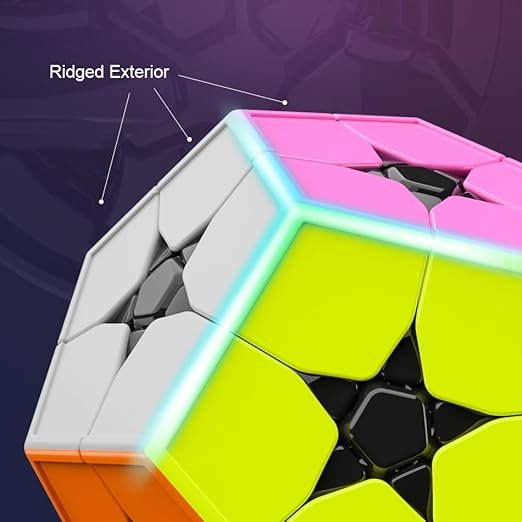 Cubeskool MoYu Megaminx 2x2 Speed Cube Stickerless-3