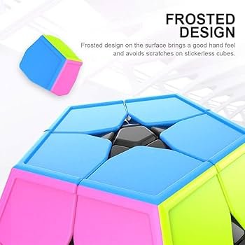 Cubeskool MoYu Megaminx 2x2 Speed Cube Stickerless-4