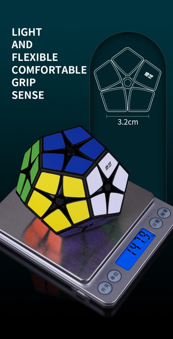 Cubeskool MoYu Megaminx 2x2 Speed Cube Stickerless-8